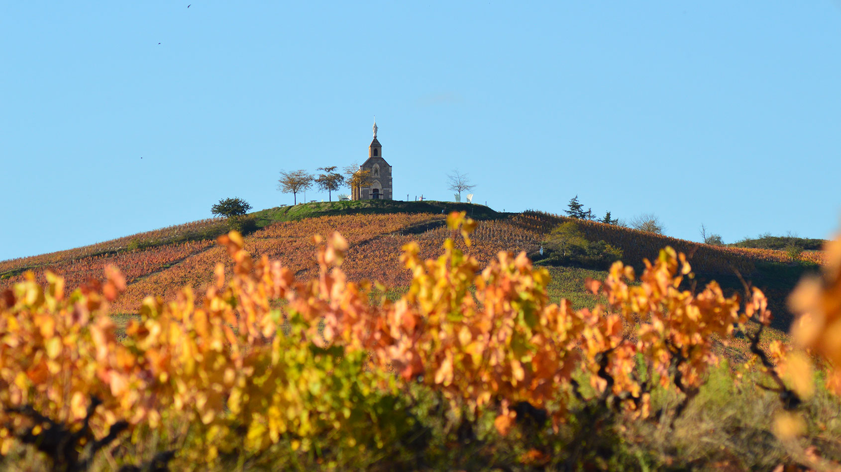Domaine des Chaffangeons
