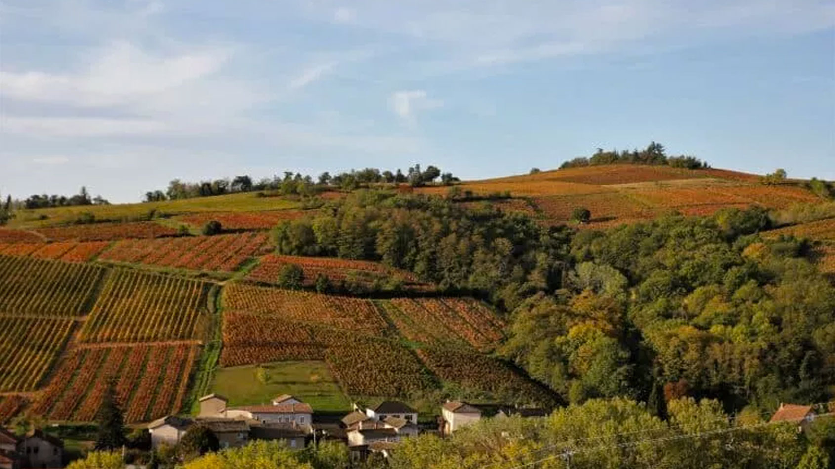 Domaine David Méziat