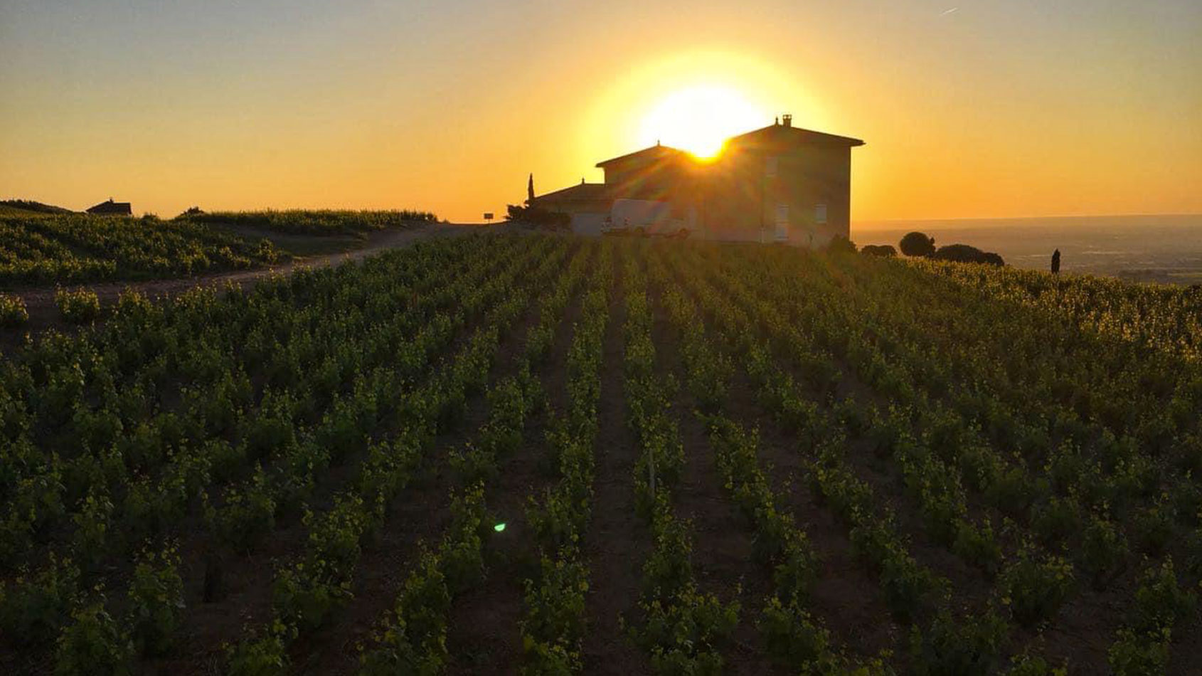 Château Moulin Favre / Domaine Vernus