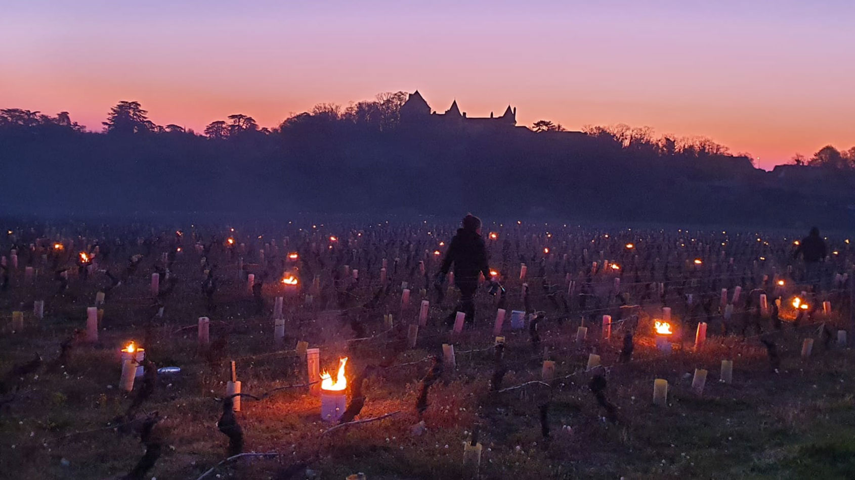 domaine des chauchoux