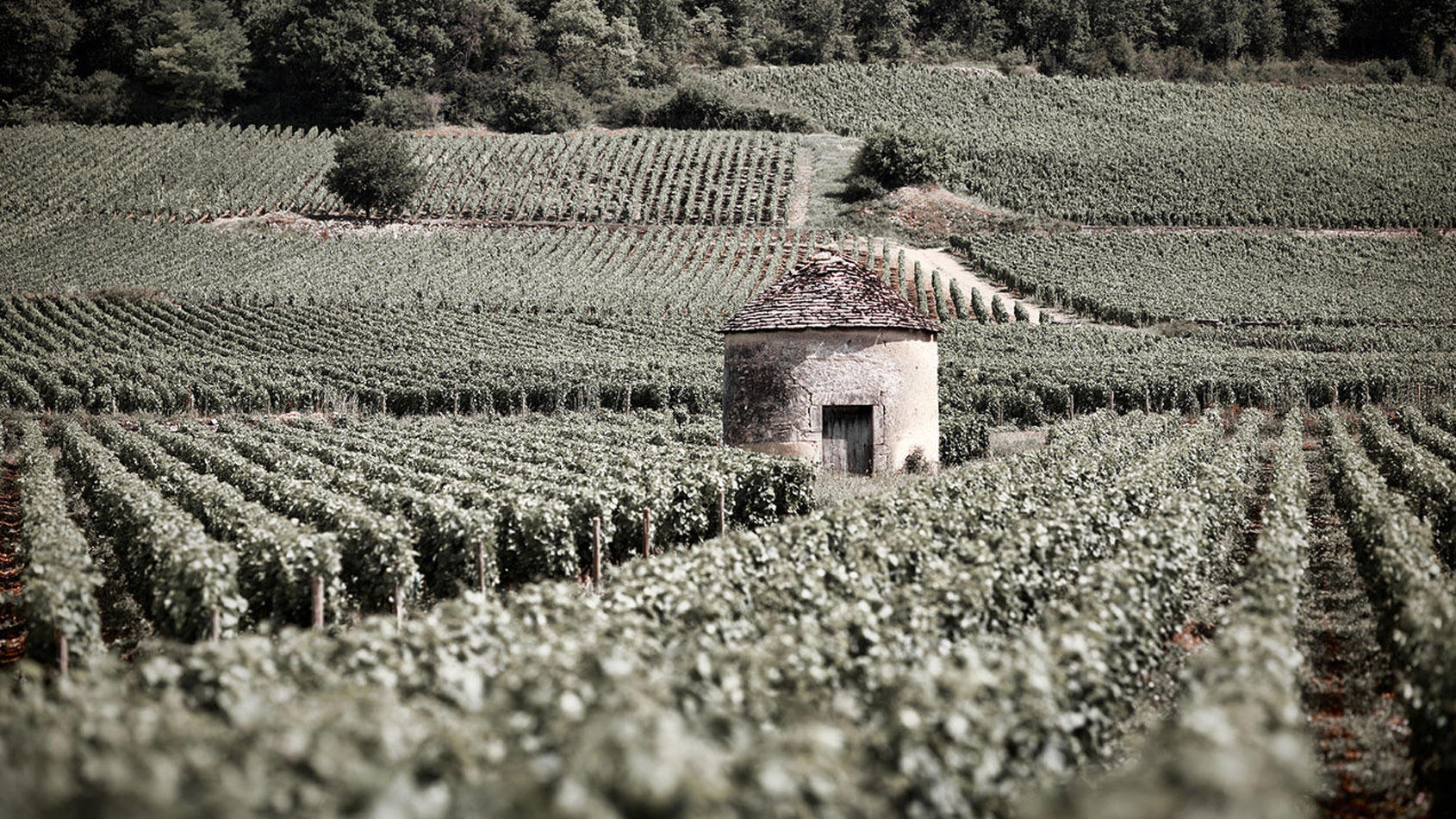 Domaine Seguin-Manuel