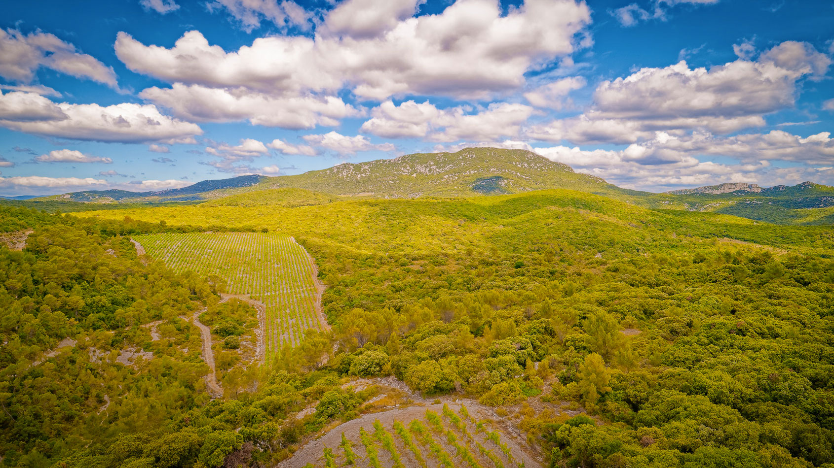 Domaine Haut Lirou / Mazet d'Irène / Closerie des Garrigues