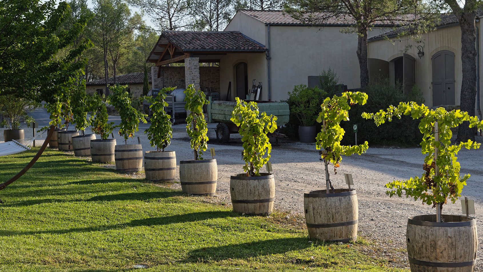 Domaine Haut Lirou / Mazet d'Irène / Closerie des Garrigues