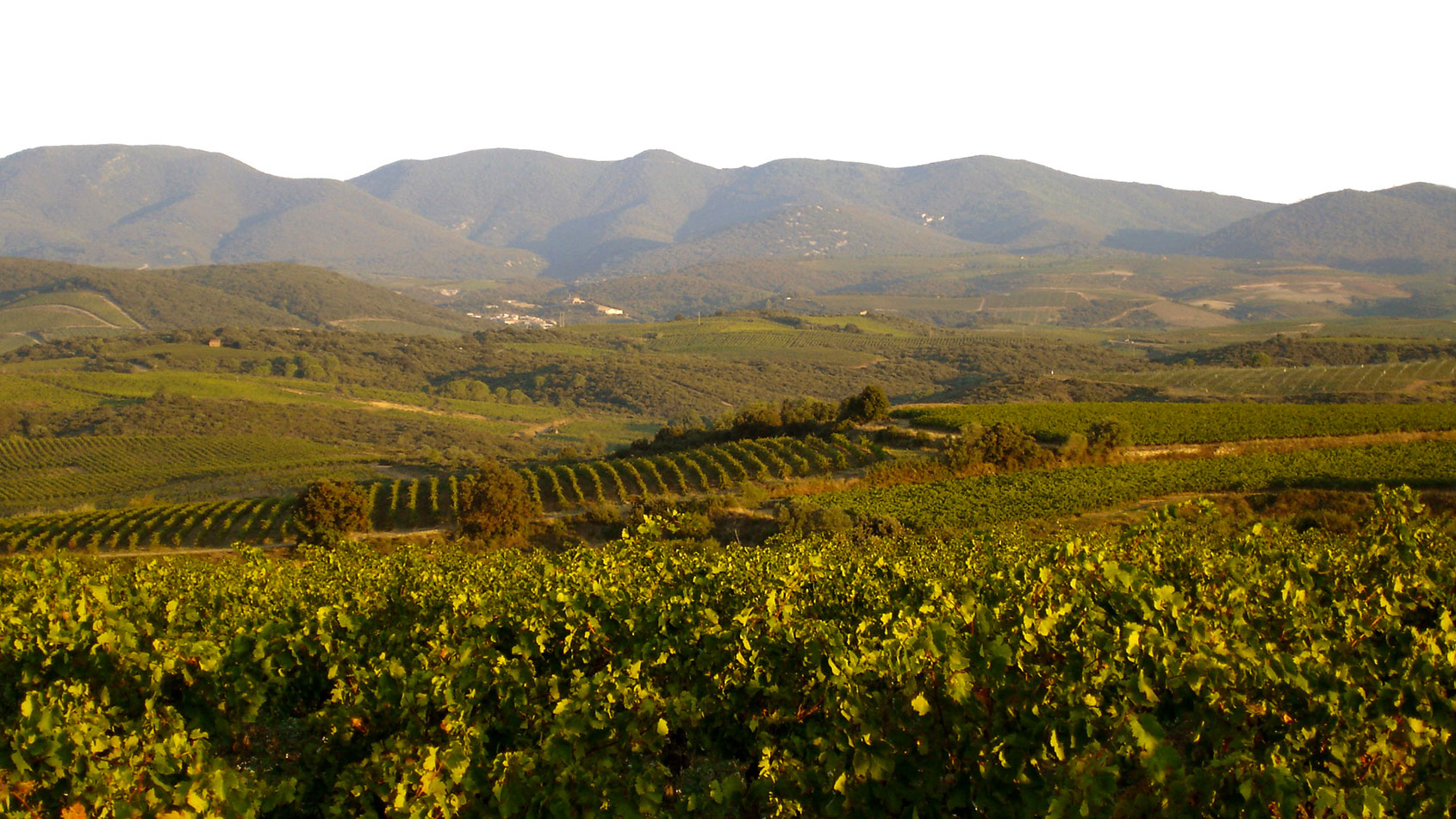 Domaine des Prés Lasses