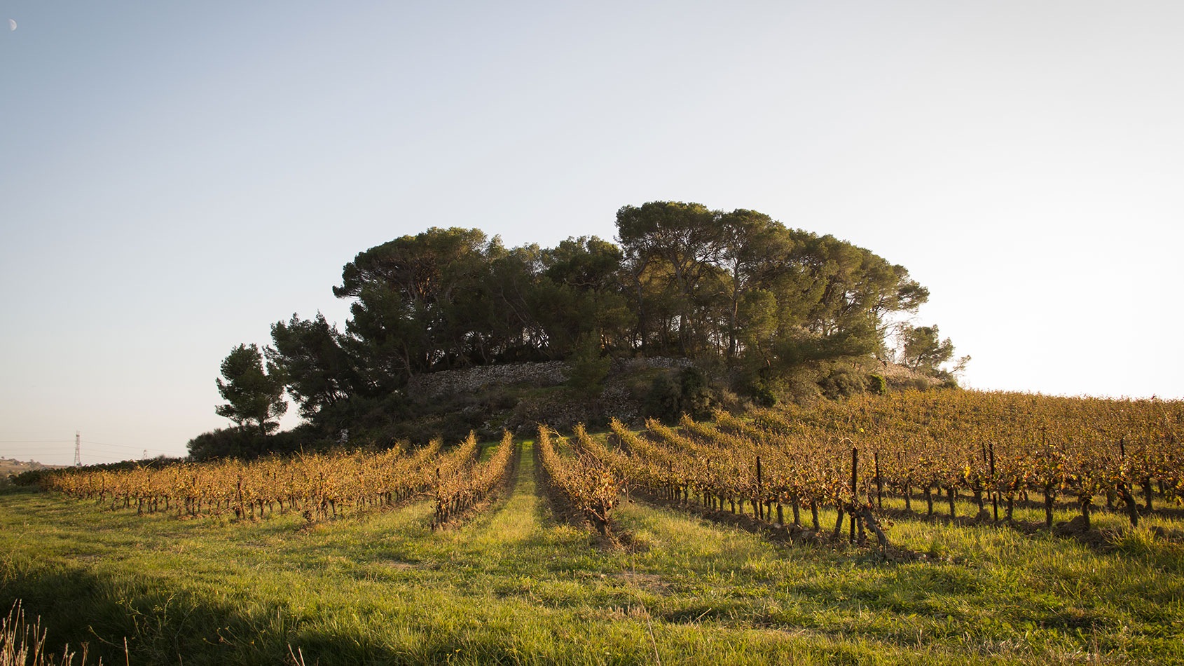 Domaine des Prés Lasses