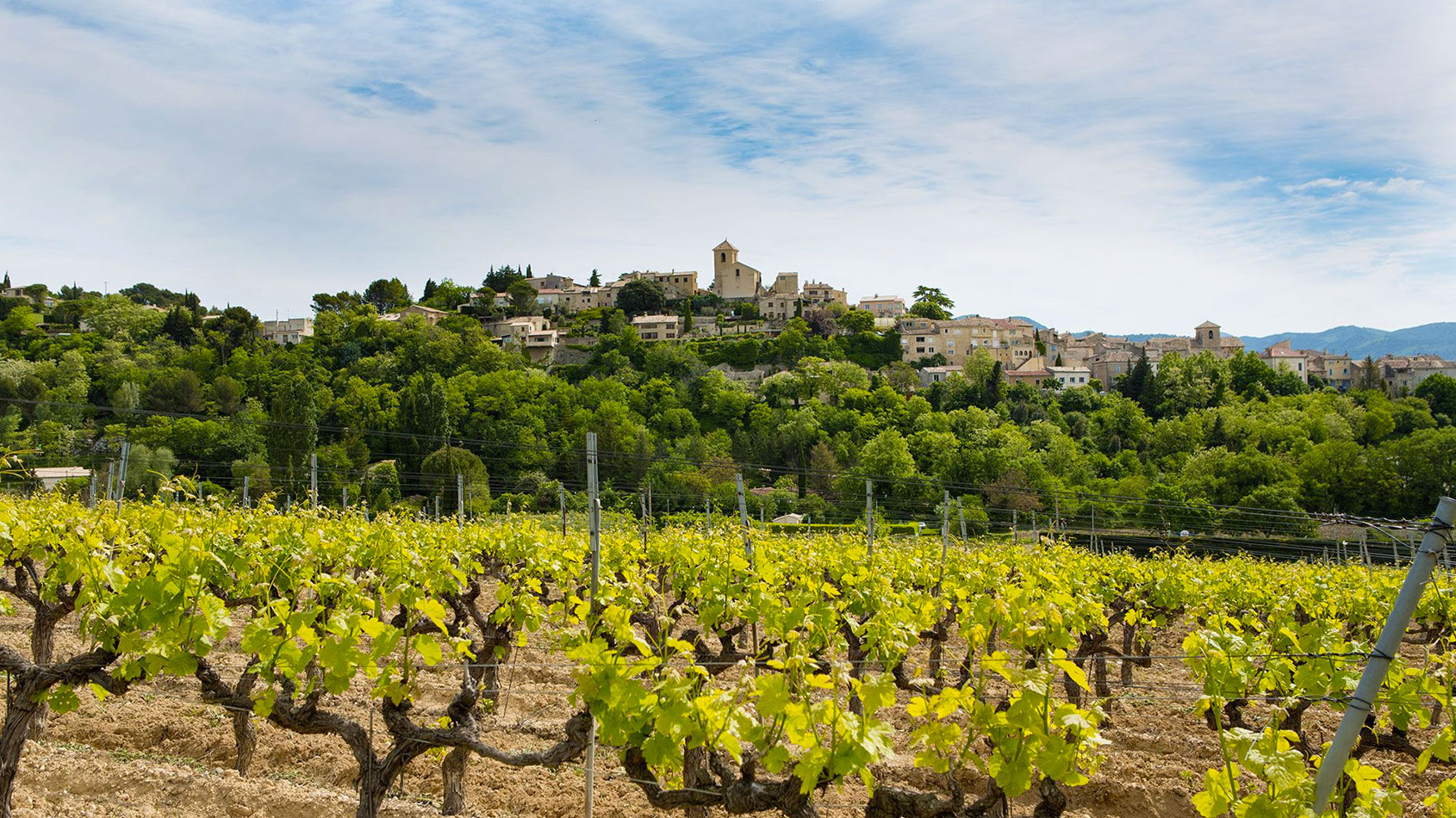 Domaine Pascal & Richard Jaume