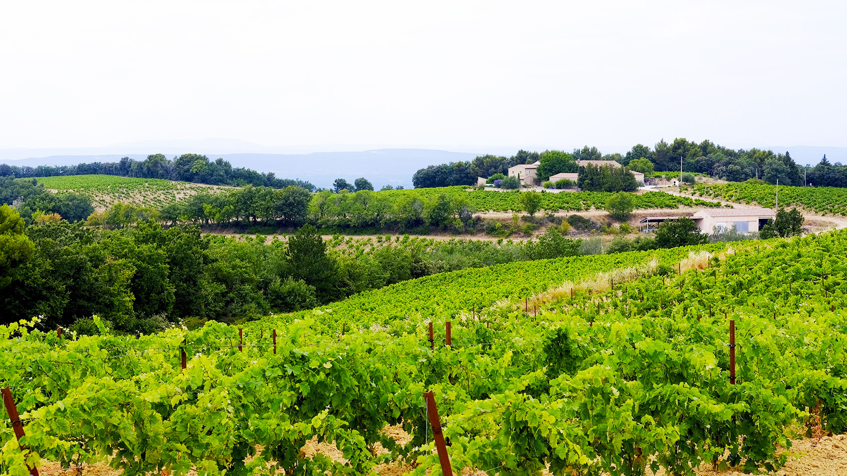 Domaine Mas de Sainte Croix