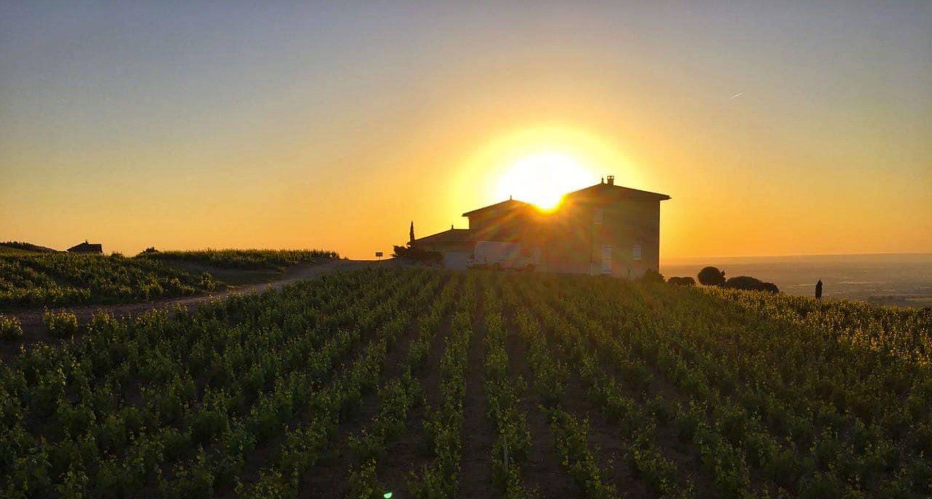 In Terroirs Veritas - Domaine Chateau Moulin Favre