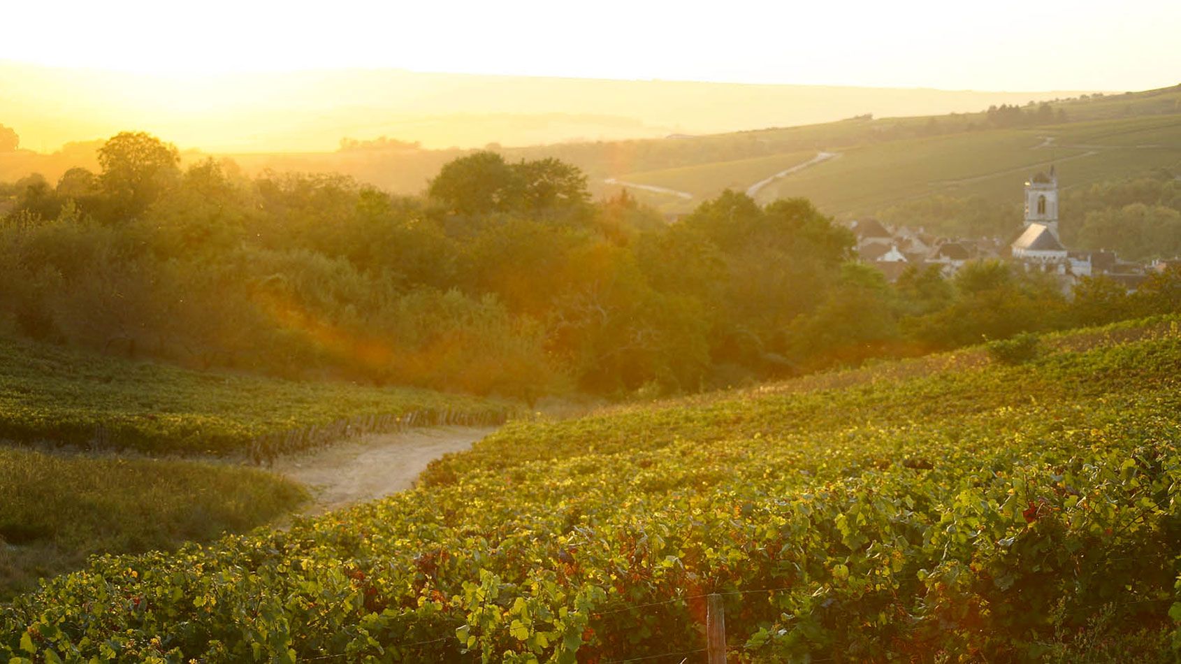 Domaine Verret